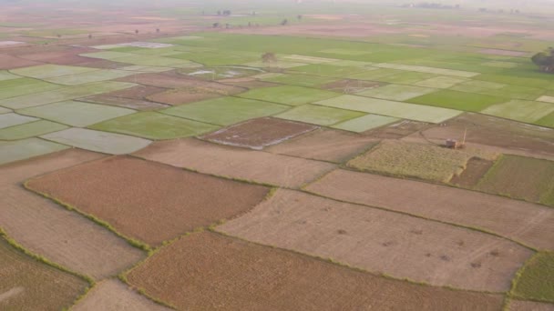 India Pittoreske Mooie Landbouwvelden Luchtfoto Drone Beelden — Stockvideo