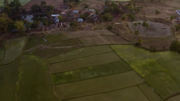 Indie Malownicze Piękne Pola Rolnicze Zdjęć Dronów Lotniczych — Wideo stockowe