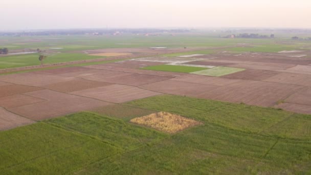 India Pittoreske Mooie Landbouwvelden Luchtfoto Drone Beelden — Stockvideo