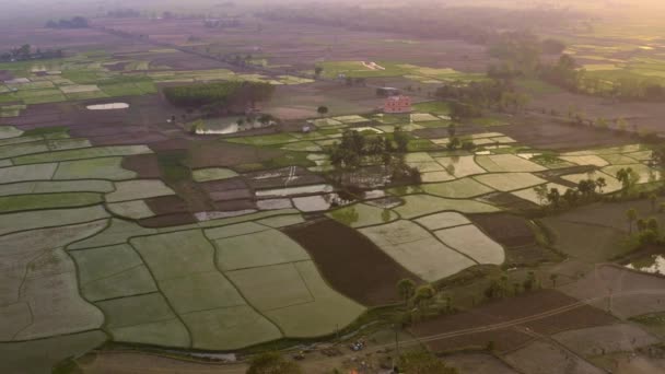 India Pittoreske Mooie Landbouwvelden Luchtfoto Drone Beelden — Stockvideo