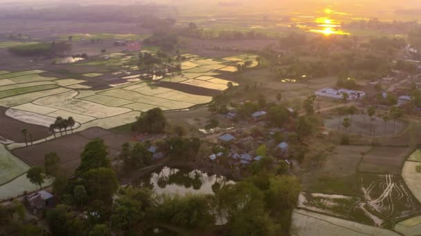 Índia Pitoresca Campos Agrícolas Bonitos Drone Aérea Metragem — Vídeo de Stock