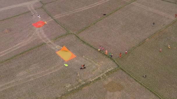 India Pintorescos Campos Agrícolas Hermosos Atardecer Imágenes Aviones Tripulados — Vídeos de Stock