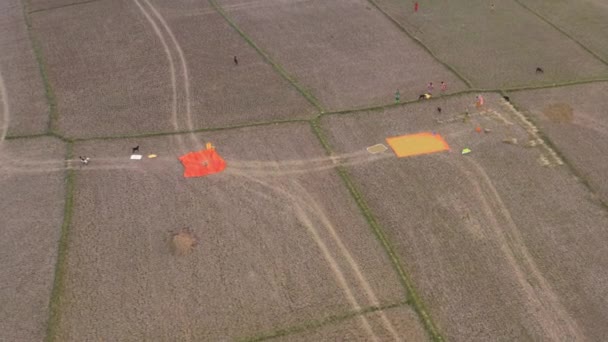 India Pintorescos Campos Agrícolas Hermosos Atardecer Imágenes Aviones Tripulados — Vídeos de Stock