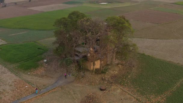 Índia Pitoresca Belos Campos Agrícolas Pôr Sol Drone Aérea Metragem — Vídeo de Stock