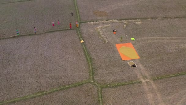 Inde Beaux Champs Agricoles Pittoresques Coucher Soleil Images Aériennes Drone — Video