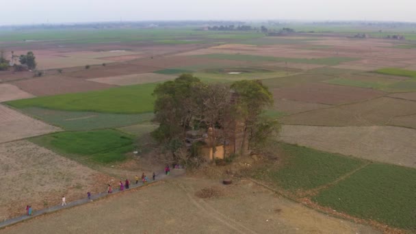 Hindistan Gün Batımında Çok Güzel Tarlalar Hava Aracı Görüntüleri — Stok video