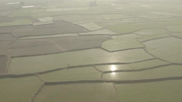 India Pintorescos Campos Agrícolas Hermosos Imágenes Aviones Teledirigidos — Vídeos de Stock