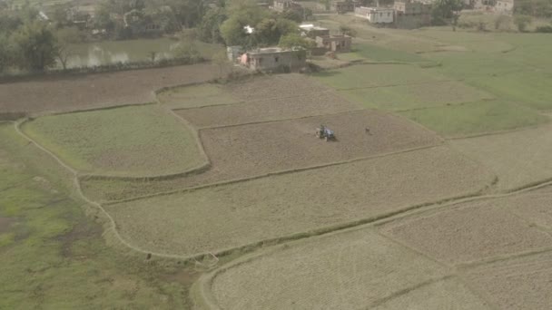 India Pittoreschi Bellissimi Campi Agricoli Filmati Drone Aerea — Video Stock