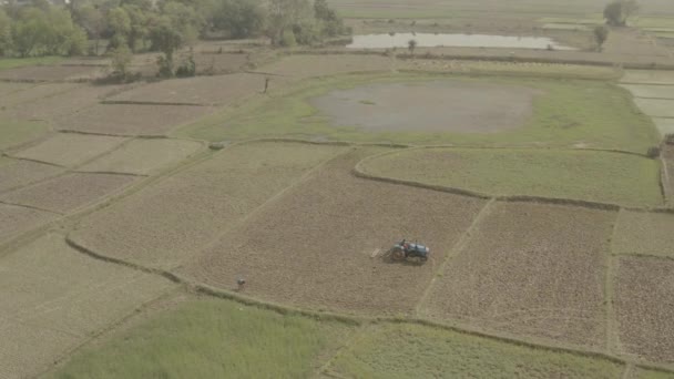 Hindistan Güzel Tarım Arazileri Hava Aracı Görüntüleri — Stok video