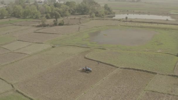 インドの絵のように美しい農業分野 4K空中ドローン映像 — ストック動画
