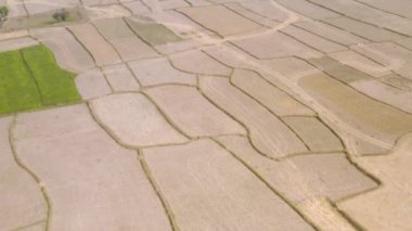 Hindistan güzel tarım arazileri, 4k hava aracı görüntüleri.