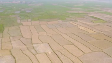 Hindistan güzel tarım arazileri, 4k hava aracı görüntüleri.