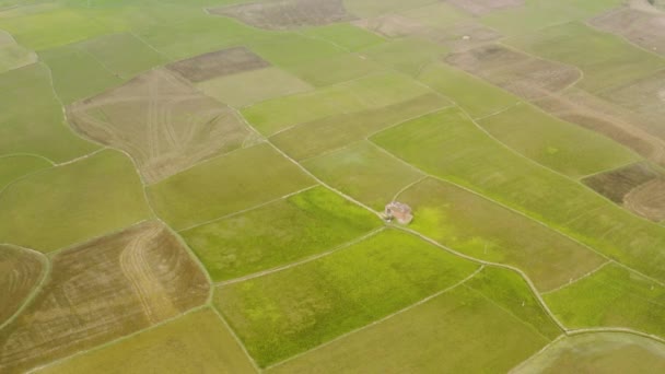 印度风景秀丽的农田 4K无人驾驶飞机镜头 — 图库视频影像
