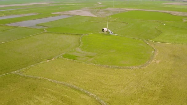 インドの絵のように美しい農業分野 4K空中ドローン映像 — ストック動画
