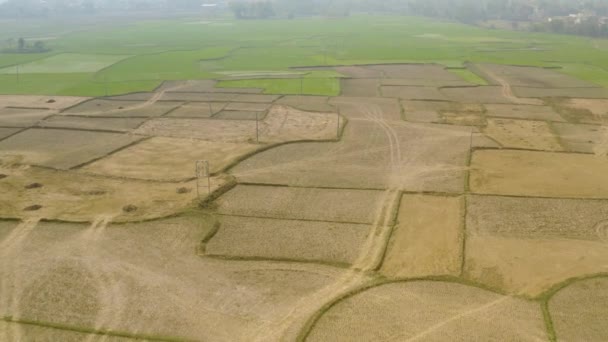 Índia Pitoresca Campos Agrícolas Bonitos Drone Aérea Metragem — Vídeo de Stock