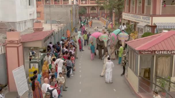 Festa Indiana Sulla Strada Della Città Persone Con Elefanti Che — Video Stock