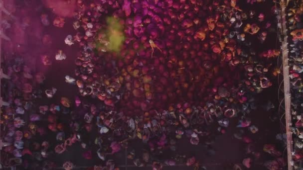 Вид Воздуха Холи Цветовой Фестиваль Индии Дронов Кадры — стоковое видео