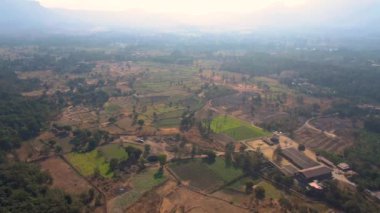 Hindistan 'da yaz boyunca tarım arazileri, 4k hava aracı görüntüleri
