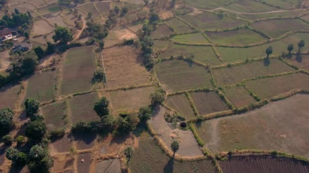 Agricultural Fields Summer India Aerial Drone Footage — Stock Video