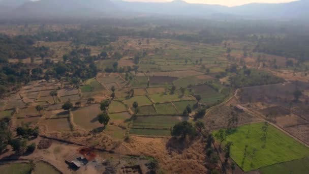 Agricultural Fields Summer India Aerial Drone Footage — Stock Video