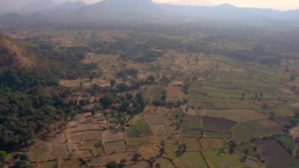Campos Agrícolas Durante Verão Índia Imagens Aéreas Drones — Vídeo de Stock