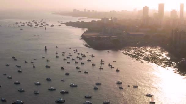 Fiskebåtar Nära Mumbai Bay Antenn Ograderade — Stockvideo