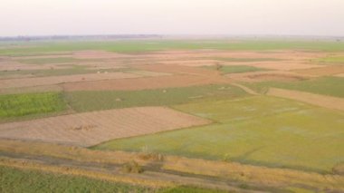 Hindistan gün batımında çok güzel tarlalar, 4k hava aracı görüntüleri