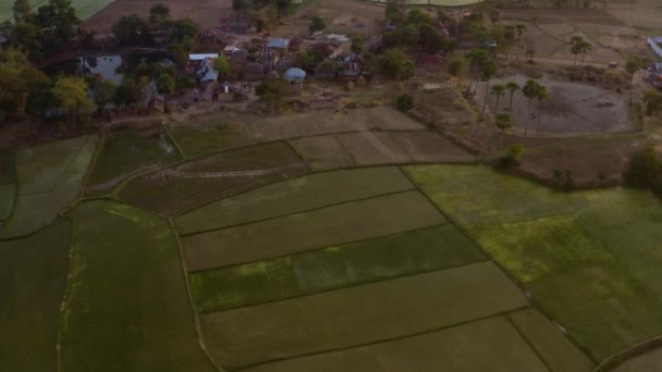 India Pittoreske Mooie Landbouwvelden Bij Zonsondergang Luchtfoto Drone Beelden — Stockvideo