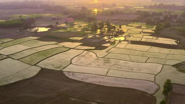 Indie Malebné Krásné Zemědělské Pole Při Západu Slunce Letecké Drone — Stock video
