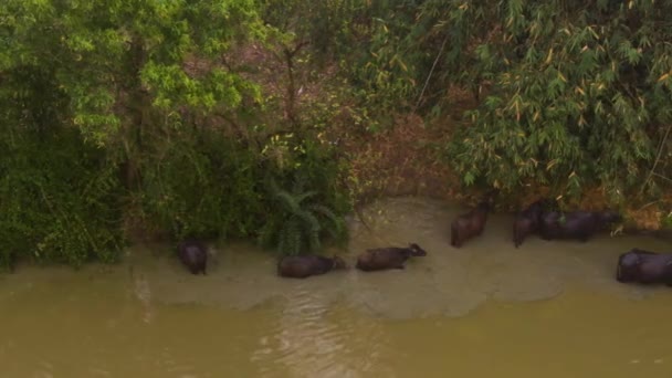 Bloqueos Río India Con Una Huella Aérea Aviones Teledirigidos — Vídeos de Stock