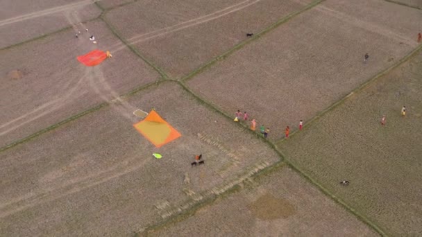 Inde Beaux Champs Agricoles Pittoresques Coucher Soleil Images Aériennes Drone — Video