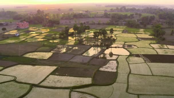 Inde beaux champs agricoles pittoresques au coucher du soleil, 4k images aériennes de drone