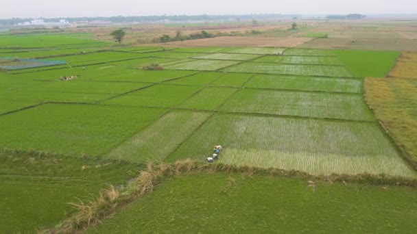 Indien Malerische Landwirtschaftliche Felder Bei Sonnenuntergang Drohnenaufnahmen Aus Der Luft — Stockvideo