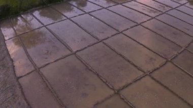 Hindistan gün batımında çok güzel tarlalar, 4k hava aracı görüntüleri