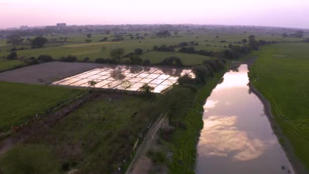 India Pittoreske Mooie Landbouwvelden Bij Zonsondergang Luchtfoto Drone Beelden — Stockvideo