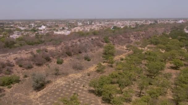 Hindistan Tarımsal Alanları Köy Hava Manzaralı Insansız Hava Aracı — Stok video