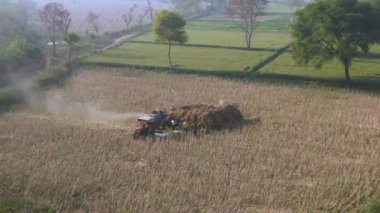 Vrindavan, Hindistan - 22 Mart 2019: Köylüler tarım birleşimiyle çalışıyorlar