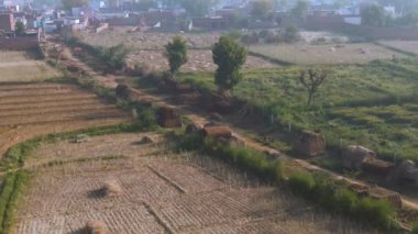 Hindistan güzel tarım arazileri, 4k hava aracı görüntüleri.