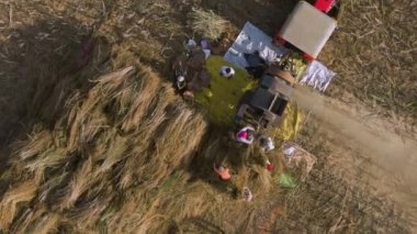 Vrindavan, Hindistan - 22 Mart 2019: Köylüler tarım birleşimiyle çalışıyorlar