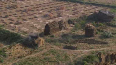 Hindistan güzel tarım arazileri, 4k hava aracı görüntüleri.