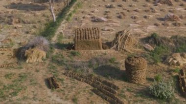 Hindistan güzel tarım arazileri, 4k hava aracı görüntüleri.
