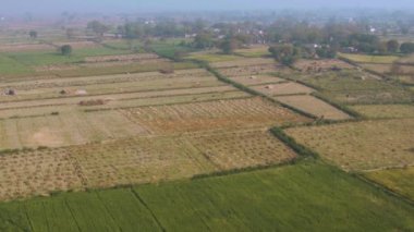 Hindistan güzel tarım arazileri, 4k hava aracı görüntüleri.