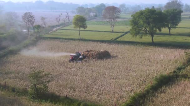 Vrindavan Indien Mars 2019 Byborna Arbetar Med Jordbrukskombinationer — Stockvideo