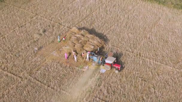 Vrindavan Indien Mars 2019 Byborna Arbetar Med Jordbrukskombinationer — Stockvideo