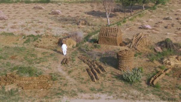 India Campi Agricoli Villaggio Vista Aerea Drone — Video Stock