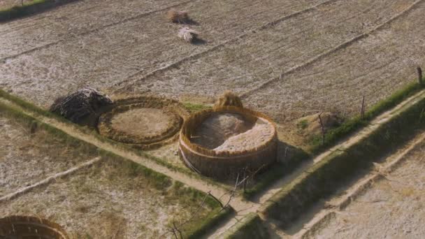 India Picturesque Beautiful Agricultural Fields Aerial Drone Footage — Stock Video