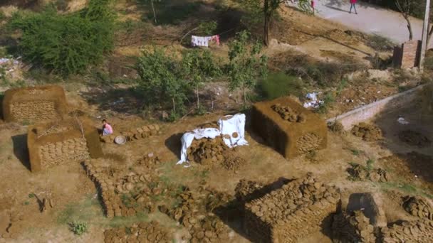 Inde Champs Agricoles Village Vue Aérienne Drone — Video