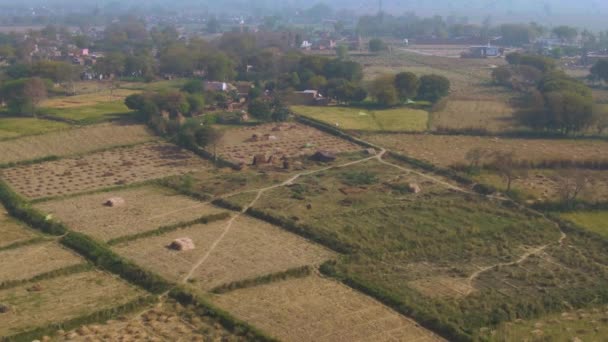 India Pittoreske Mooie Landbouwvelden Luchtfoto Drone Beelden — Stockvideo