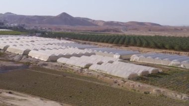 Hindistan köyündeki tarlalar 