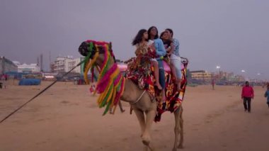 Puri, Orissa, Hindistan - 09 Nisan 2019: Okyanus sahilinde turistlerle birlikte deve binicisi 